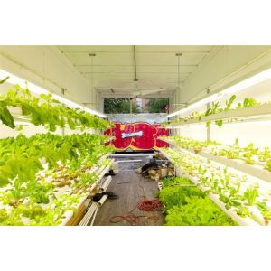 Movable Modular Container Homes Eco Prefab House, Hydroponic Farming steel