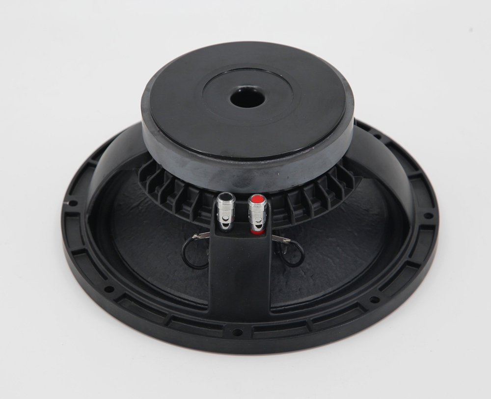 Karaoke loudspeaker 10 inch 2-way full range speaker for club and KTV