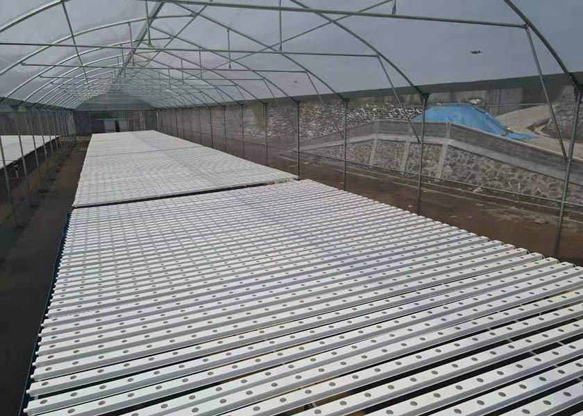 Customized Multi Span Greenhouse No Welding For PVC Tube NFT Hydroponics System Planting