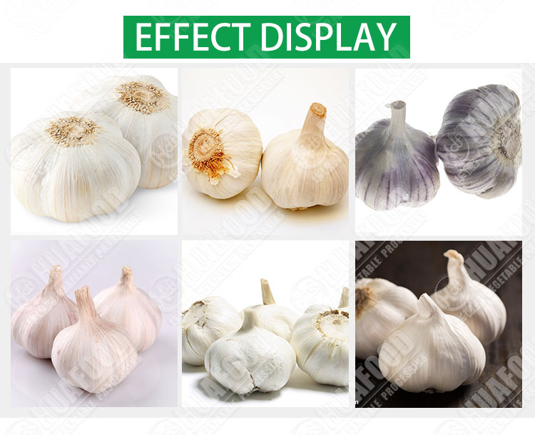 Electric small home fresh garlic root and stem cutting machine/garlic roots cutter for kitchen