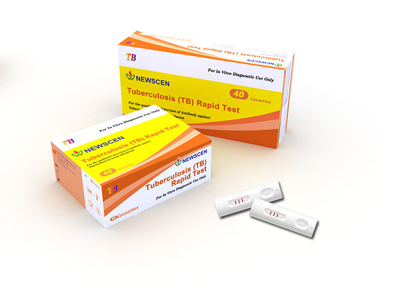 99% Specificity TB Antibody IgG IgM Tuberculosis Rapid Test Kit