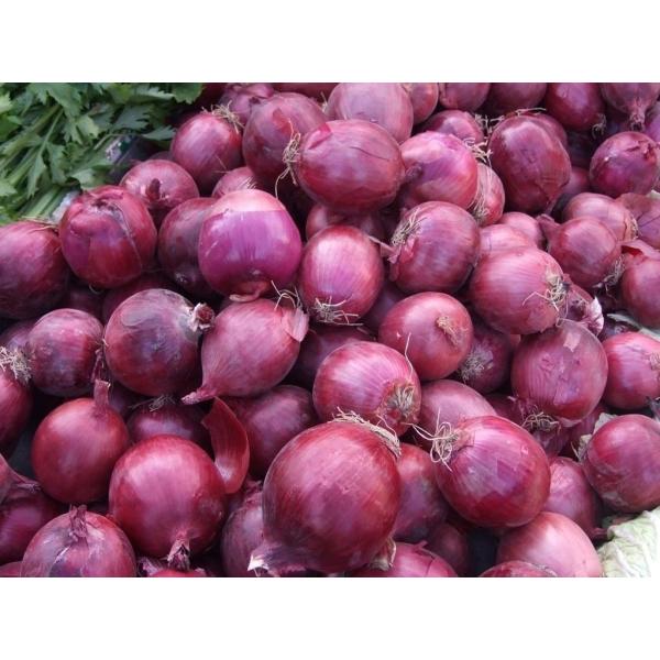Metabolism Enhancing Fresh 6cm Restaurant Red Onion