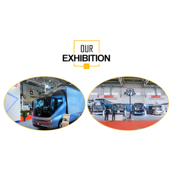 BYD 2025 Dolphin 520km Knight Edition EV