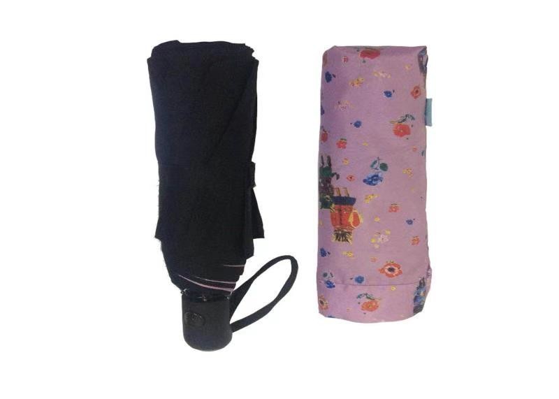 Double Canopy Folding Travel Umbrella , Auto Open Close Umbrella Full Inside Printing