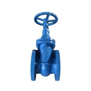 Quality DIN3352 F4 Non Rising Stem Resilient Seated Gate Valve Z41614 for sale