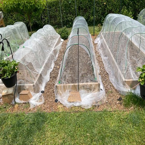 50 Mesh Anti mosquito screen Roll For Vegetables Protection