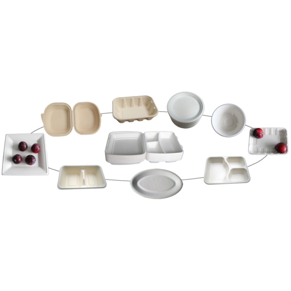 Automatic Virgin Pulp Molding Equipment Tableware Thermoforming Machine