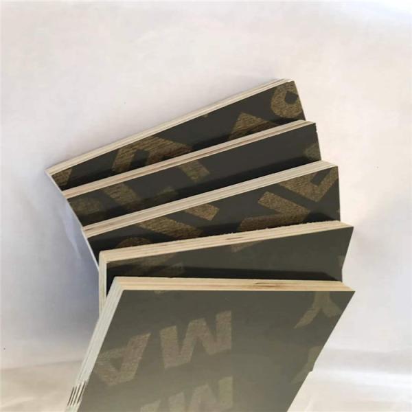 Durable Poplar Core Plywood , Film Faced Shuttering Plywood For Building Construction