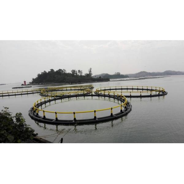 Plastic Floating HDPE Fish Cage for Aquatic Products Processing Machinery