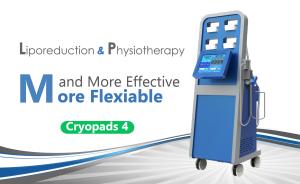 Quality Better Noninvasive Cryolipolysis Slimming Machine , Professional Cryolipolysis Machine for sale