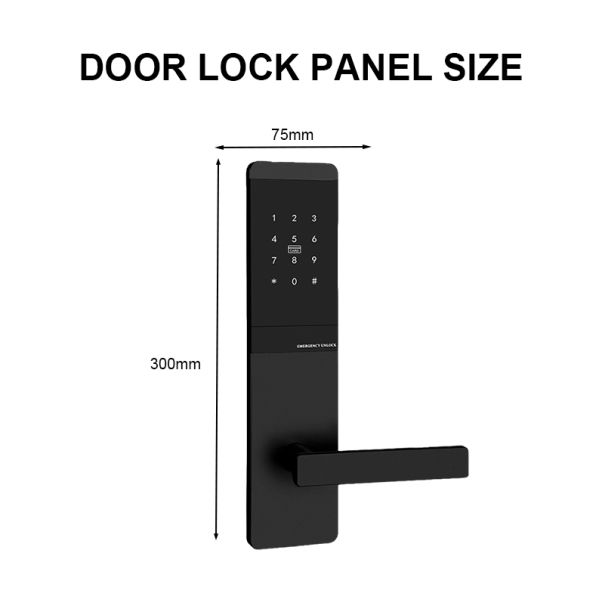 TTM727 TThotel / TTLOCK App Smart password door Locks
