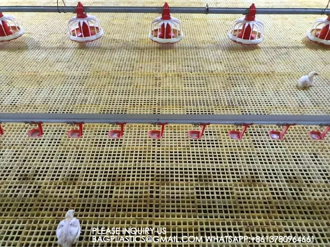 Poultry Equipment Chicken Feeders Drinkers Poultry Automatic Animal Feeders Chicken Feeder