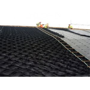 Textured Cellular Confinement System