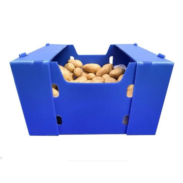 Rectangular PP Corrugated Sheet Box Recyclable Foldable Plastic Box Blue