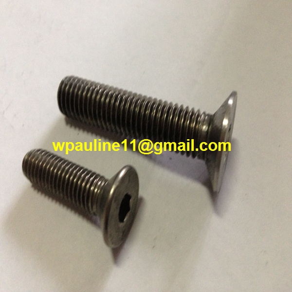 904L flat head socket screw allen hex bolt