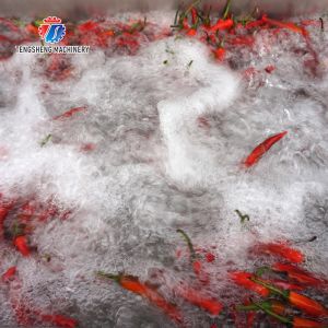 Stepless Shift Water Current Motivity Fruit And Vegetable Washing Machine