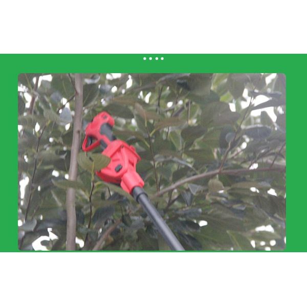 8 Inch Pole Cordless Electric Chainsaw 250cm Max Reach For Tree Trimming