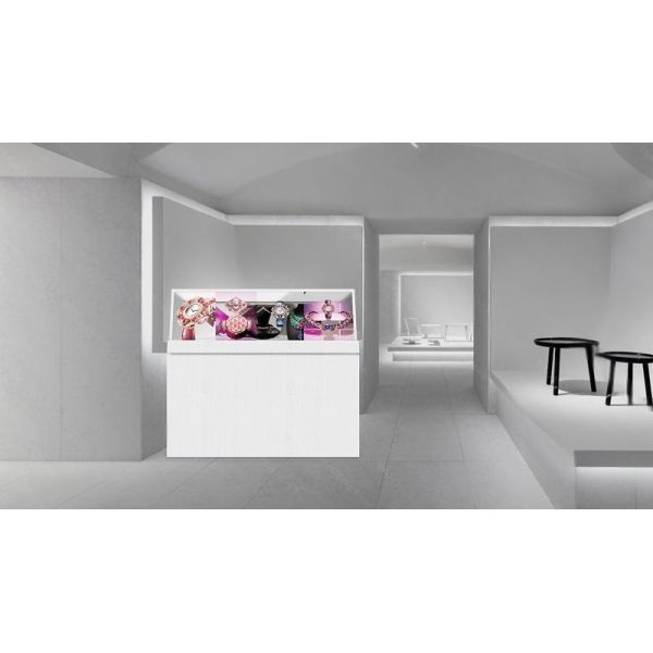 48 Inch High Definition Oled See Through Screen Transparent Oled Panel