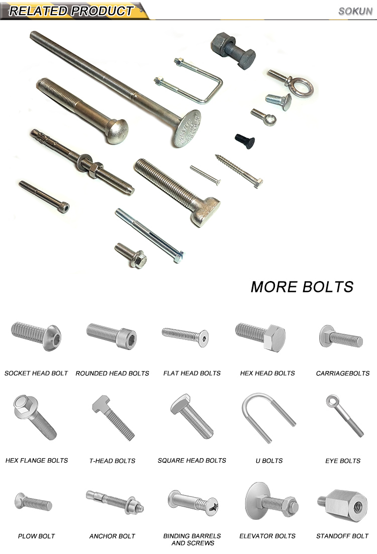 Ss Stainless Steel 3/8" Flange Bolt M16 X 100 M10X125 316 Grade M38 M26 Hexagonal M8X2 M32 Bolts 5.8 Hex Flange Bolt