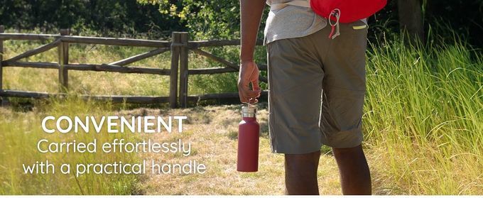 17 oz Stainless Steel Sports Water Bottle Insulated Reusable Water Bottles with Handle Metal Bottle for Hikers Gift