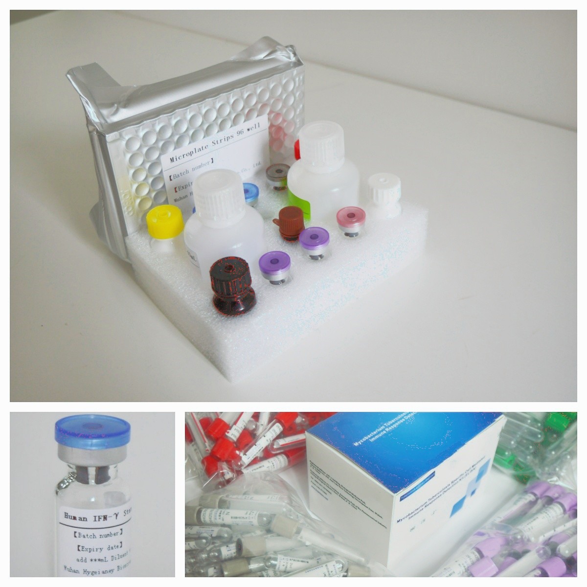 Accuracy And Sensitive Elisa Test Kit For Fast And Easy Detection TB IGRA ELISA DIAGNOSIS