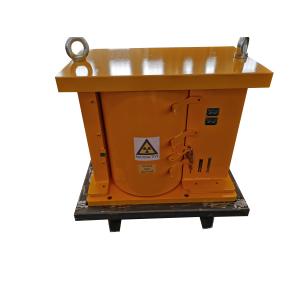 Quality Customized Double Lock Lead Shielded Containers For Radioactive Source for sale