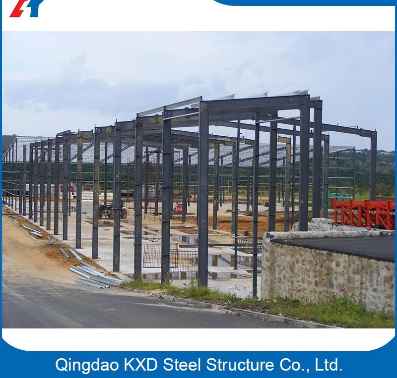 Steel Structure Prefabricated Metal Hangar/Shed