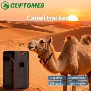 Quality 20000mAh Long Standby GPS+BDS+WIFI+LBS Camel Tracker For Accurate Satellite Positioning for sale