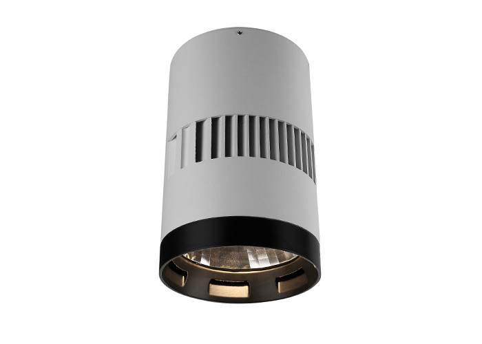 20W Surface Mount LED Lights Cylinder Ceiling Light 37V RoHS Dia.95 x 165mm