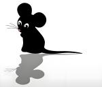 Mouse Rapid Aqueous Adjuvant