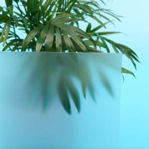 White Frosted Polycarbonate Embossed Sheet Glass