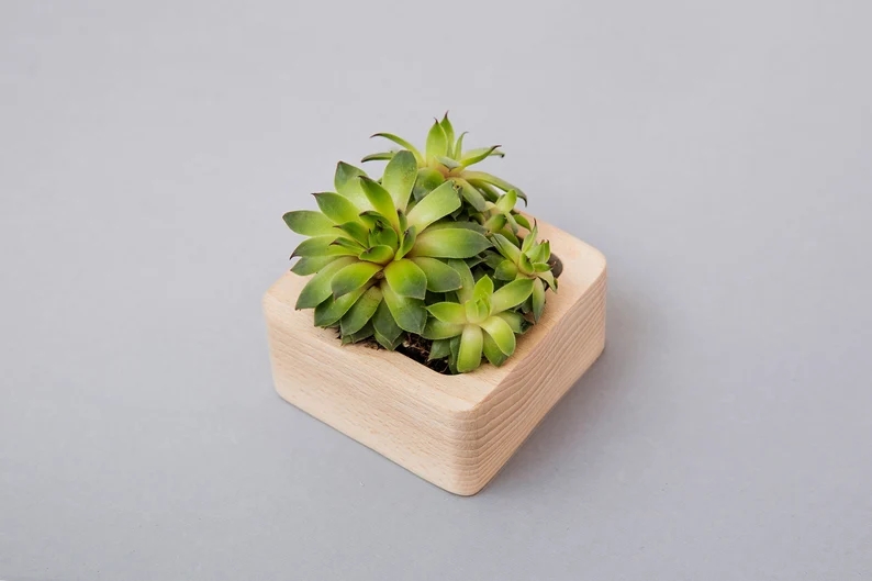 Desktop Organizer desk accessories desk tray office organizer office accessories wood organizer jewelry