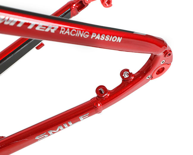 AL7005 Alloy Bicycle Frame