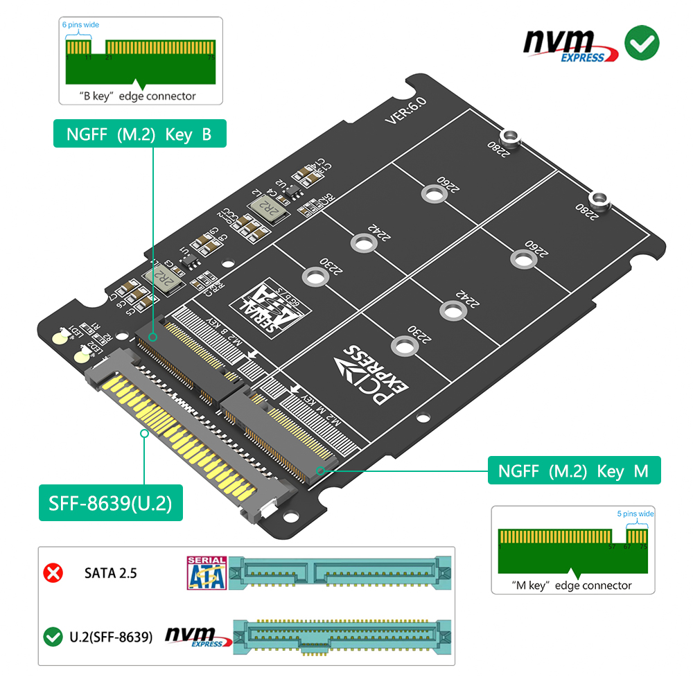 M.2 to U.2 SFF-8639 Adapter 12.5cm for SATA SSD High-Speed Data Transfer