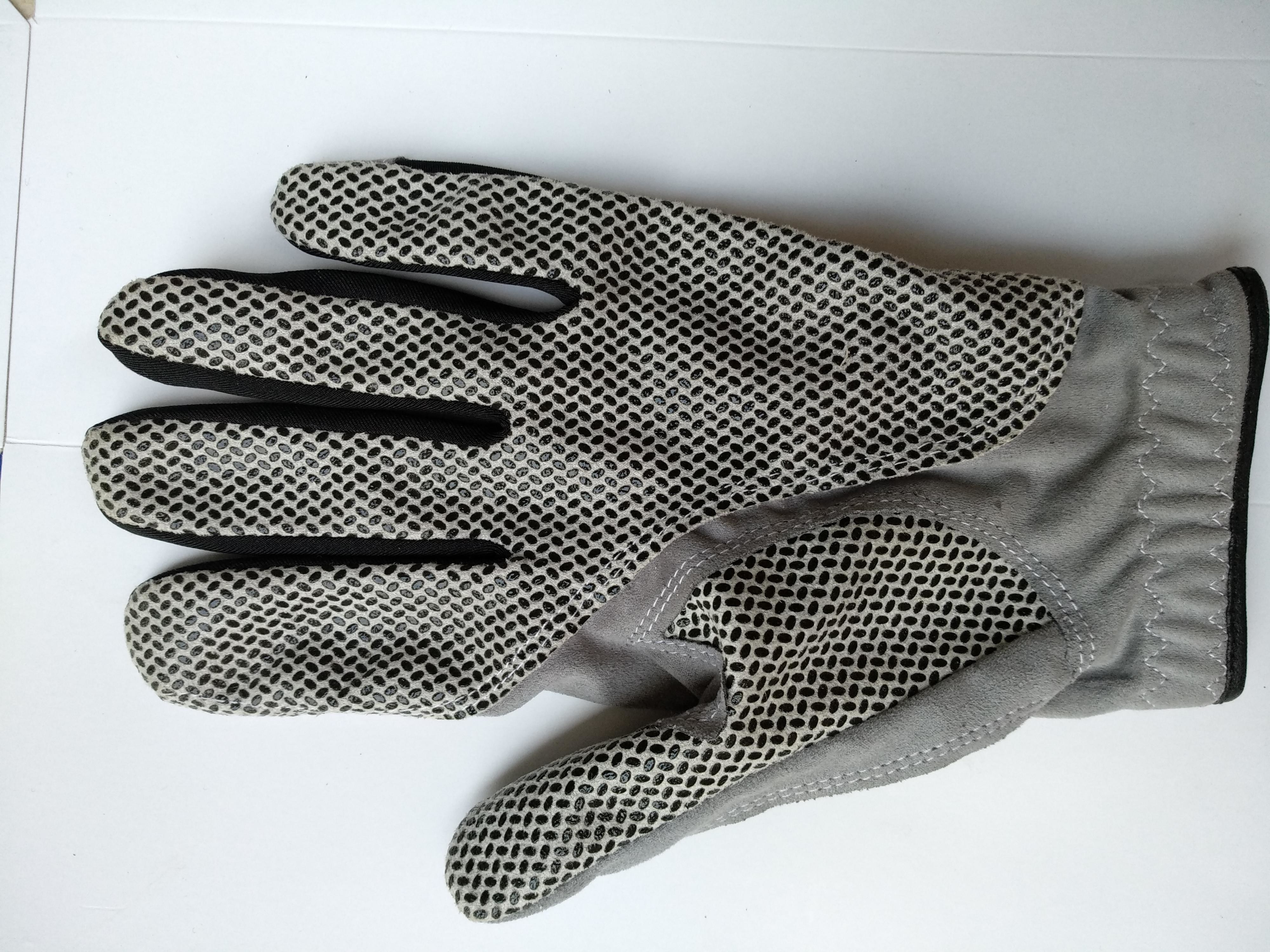 golf glove , golf gloves , glove , gloves