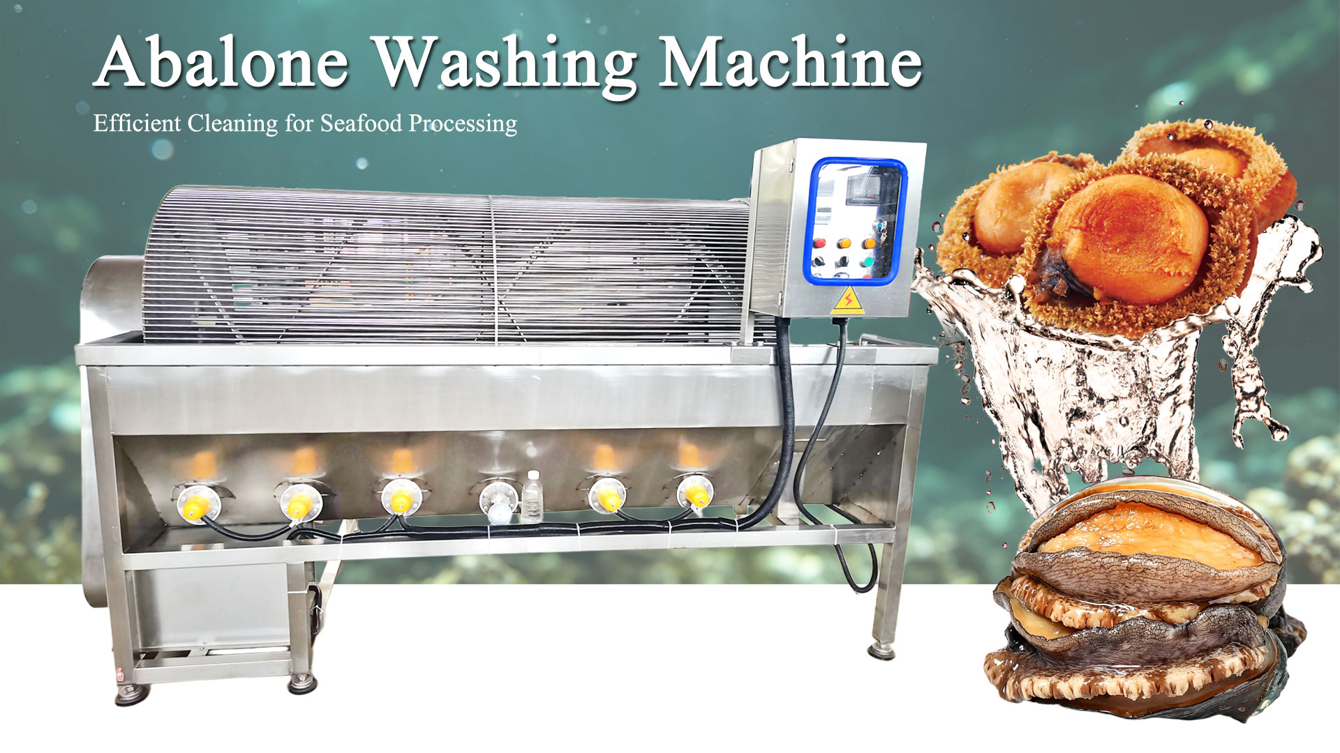 Continuous High Pressure Water Spray Abalone Cleaner Matching Shellfish Processing Production Line for Aquatic Product Factory