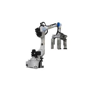 Safety Robotic Case Packer Case Packer Machine Operations