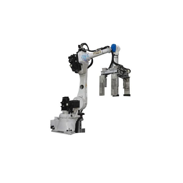 Safety Robotic Case Packer Case Packer Machine Operations