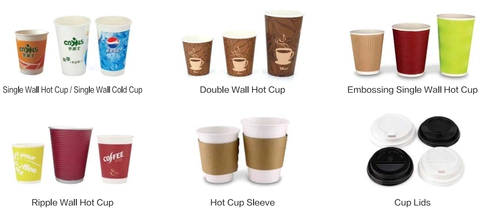 Cold Drink And Hot Drink Paper Cups Single Wall / Double Wall / Ripple Wall