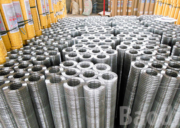 2x2 Galvanized Welded Wire Mesh Rolls Firm Structure For Garden Protection