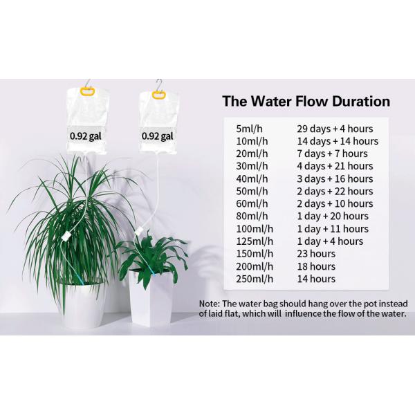 self watering system for plants