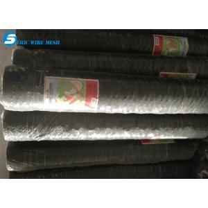 Hexagonal Wire Mesh/Hexagonal Wire Netting/Gabion Mesh