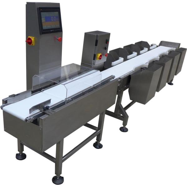 Automated Weighing Systems in Food Production with Precision, Safety