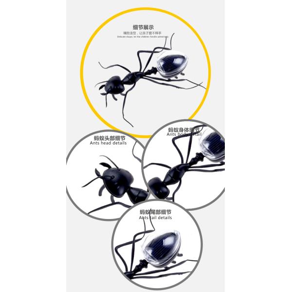 Manufacturer Direct Supply Moving Solar Toys Powered Plastic Insect Animal Novelty & Gag Toys Solar Panel Toy