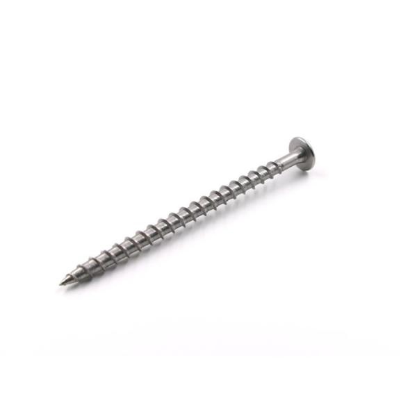 Quality Torx Head Self Tapping Screw Stainless Steel for sale