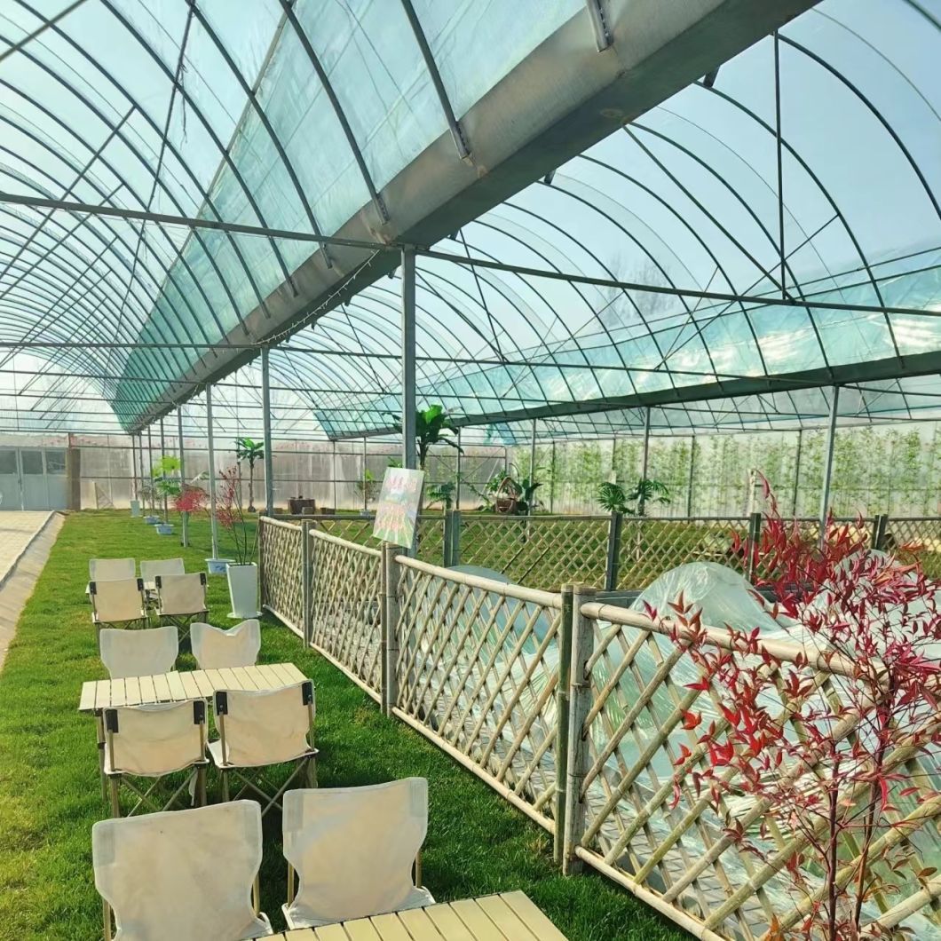 China Origin Multi Span Greenhouse with Drip Irrigation