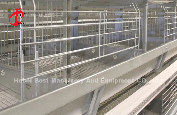 Turnkey Project Automatic Poultry Battery Cage System 3 Tiers 450cm2 Star