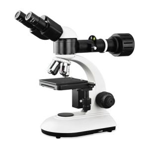 Quality Economic Optical Light Microscope , Monocular Compound Light Microscopy for sale