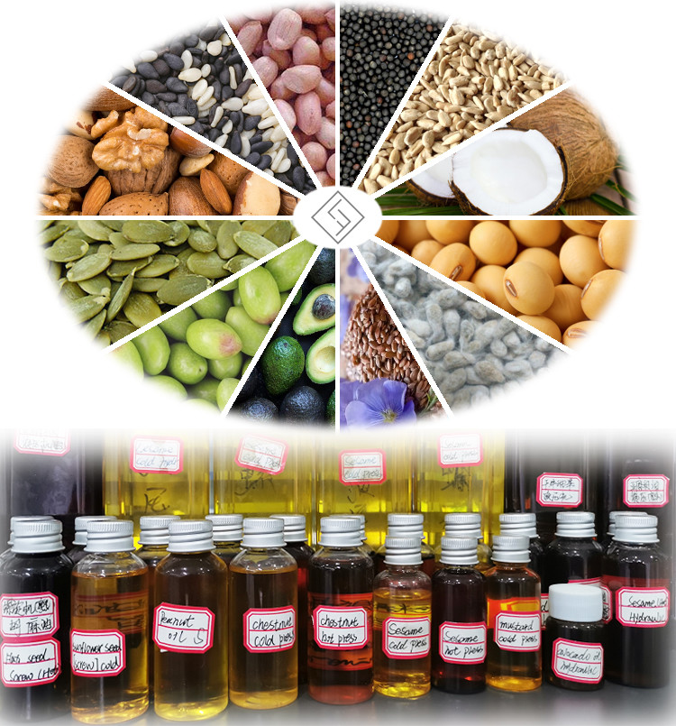 Automatic Industrial 6yl-120 Oil Press Machine Edible Peanut Walnut 380V