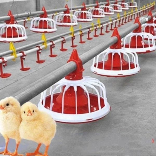Cheap Price Fully Automatic Chicken Feeder and Waterer Broiler Feeding and Drinking Line System for Chicken Coop Breeding